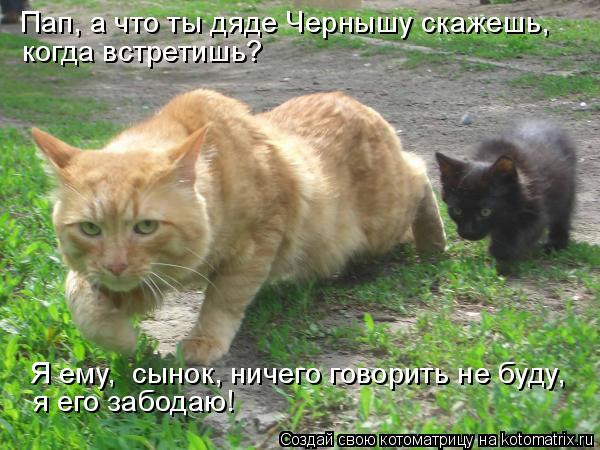Пап, а что ты дяде Чернышу скажешь, когда встретишь? Я ему, сынок, ничего говорить не буду, я его за... Котоматрица: Пап, а что ты дяде Чернышу скажешь, когда встретишь? Я ему, сынок, ничего говорить не буду, я его забодаю!