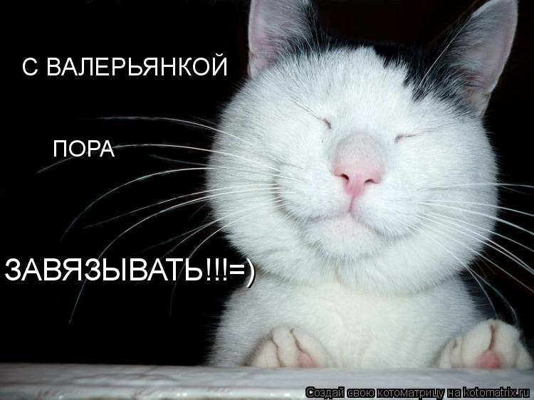 Котоматрица: С ВАЛЕРЬЯНКОЙ ПОРА ЗАВЯЗЫВАТЬ!!!=)