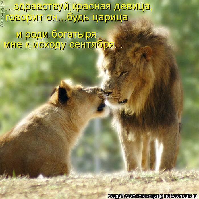 Котоматрица: ...здравствуй,красная девица, говорит он...будь царица и роди богатыря мне к исходу сентября...