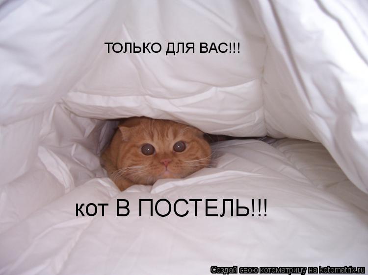 Котоматрица: ТОЛЬКО ДЛЯ ВАС!!! кот В ПОСТЕЛЬ!!!