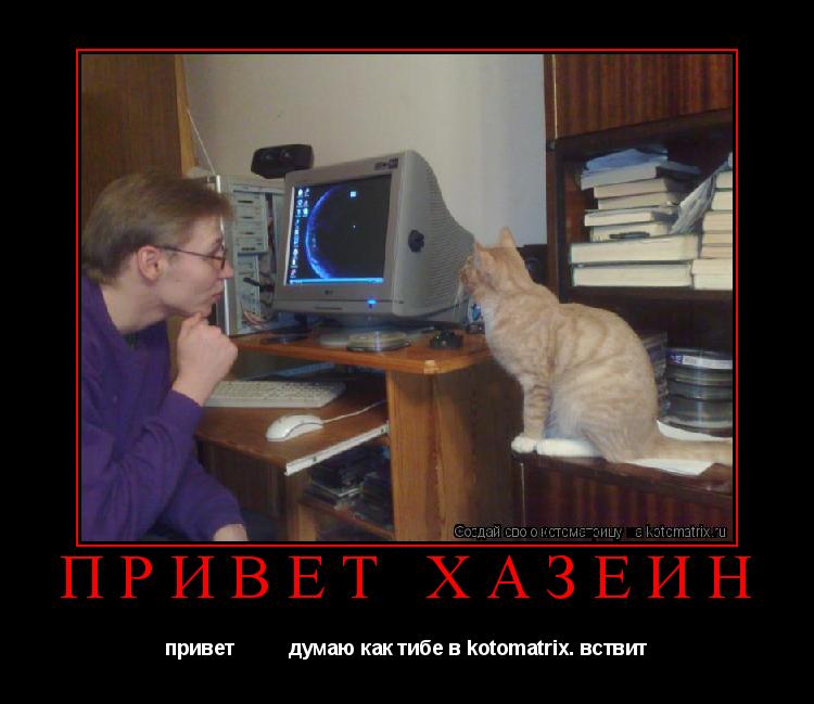 Котоматрица: привет хазеин  привет          думаю как тибе в kotomatrix. вствит