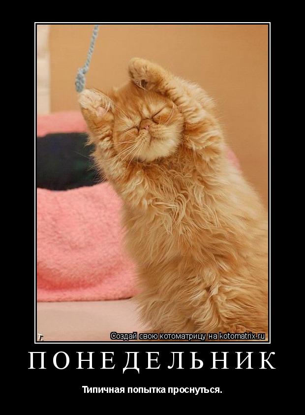 Котоматрица: Понедельник Типичная попытка проснуться.