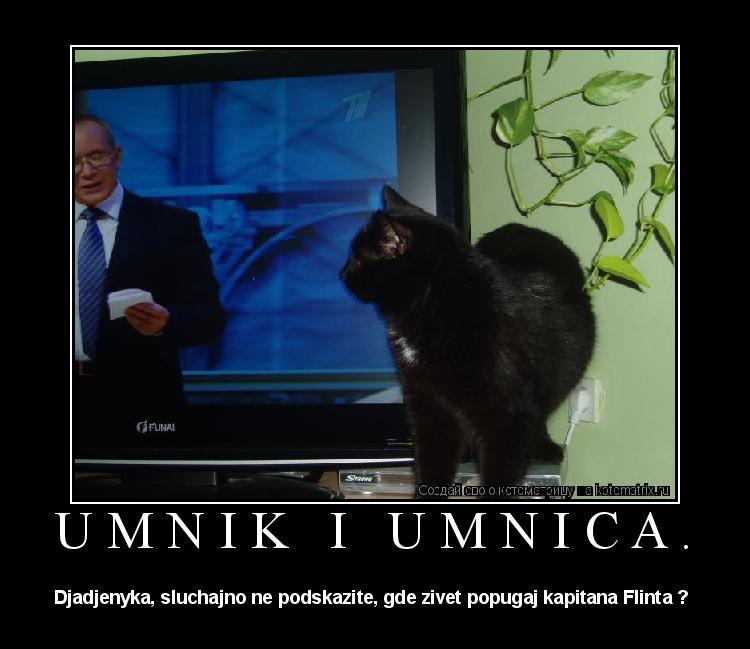 Котоматрица: Umnik i Umnica. Djadjenyka, sluchajno ne podskazite, gde zivet popugaj kapitana Flinta ? 