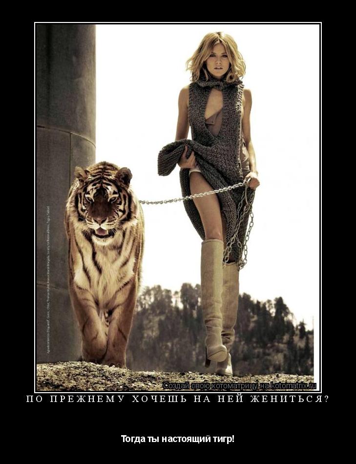 Котоматрица: По прежнему хочешь на ней жениться? Тогда ты настоящий тигр!