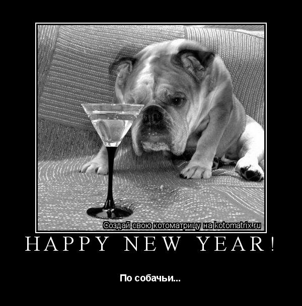 Котоматрица: Happy new year! По собачьи...