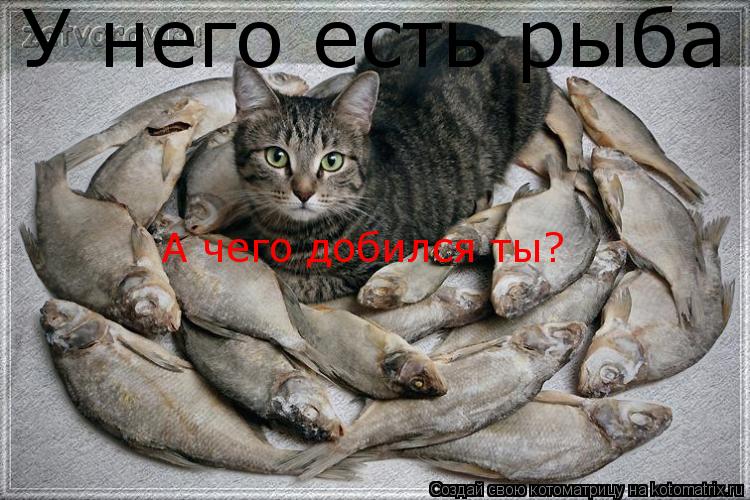 У него есть рыба А чего добился ты?... Котоматрица: У него есть рыба А чего добился ты?
