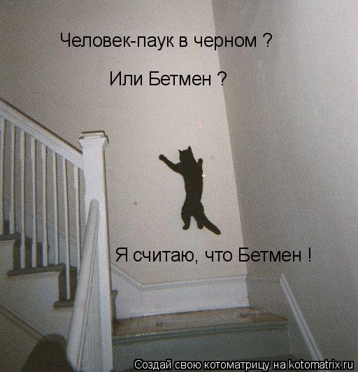 Человек-паук в черном ? Или Бетмен ? Я считаю, что Бетмен !... Котоматрица: Человек-паук в черном ? Или Бетмен ? Я считаю, что Бетмен !