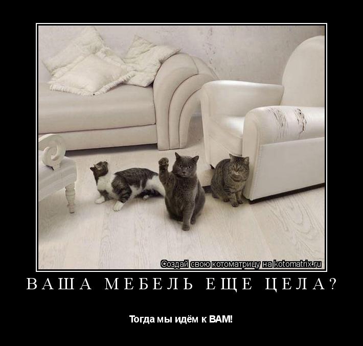 Котоматрица: Ваша мебель ещё цела? Тогда мы идём к ВАМ!