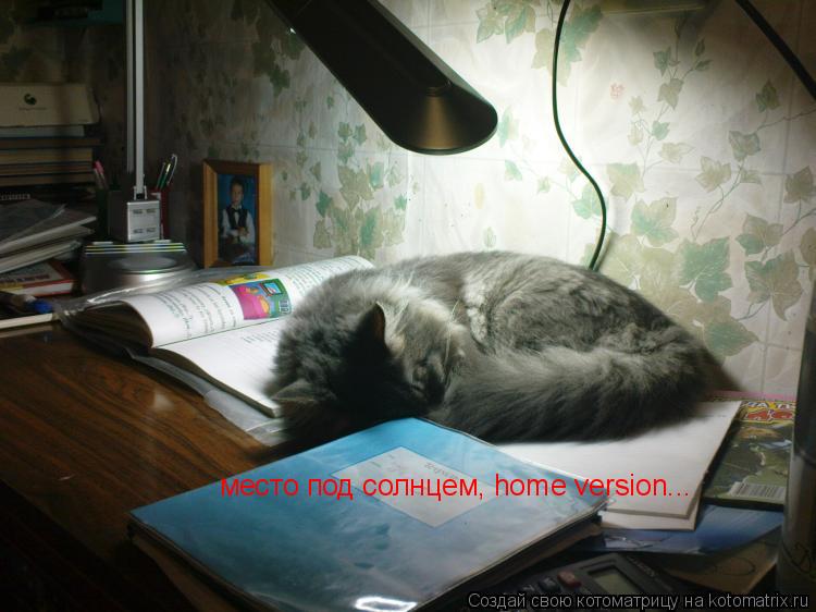 Котоматрица: место под солнцем, home version...