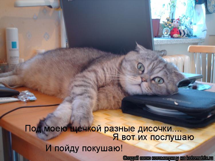 Котоматрица: Под моею щечкой разные дисочки.... Я вот их послушаю И пойду покушаю!