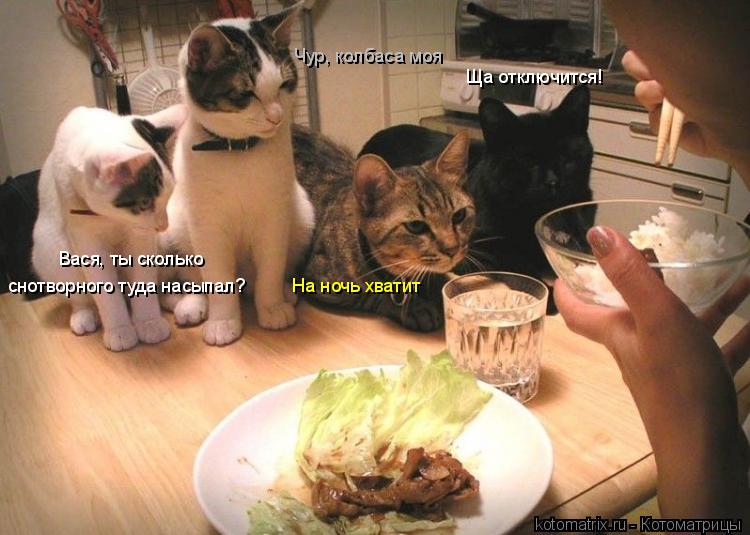 Котоматрица: Вася, ты сколько снотворного туда насыпал? Ща отключится! На ночь хватит Чур, колбаса моя