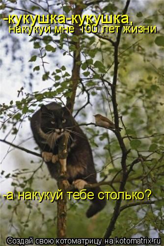 Котоматрица: накакау мне 100 лет жизни накукуй мне 100 лет жизни -кукушка-кукушка, -а накукуй тебе столько?