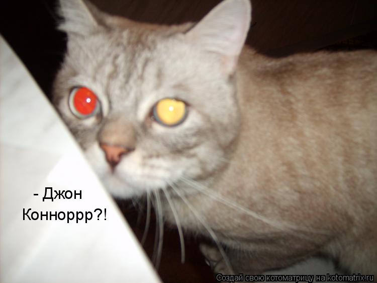 Котоматрица: Конноррр?! - Джон