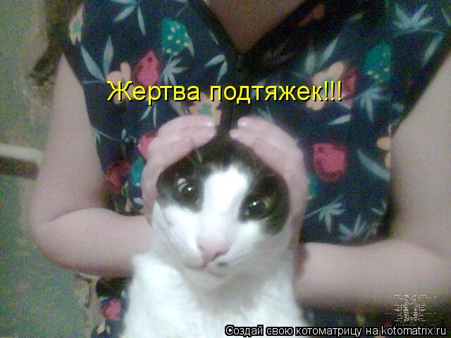 Котоматрица: Жертва подтяжек!!!