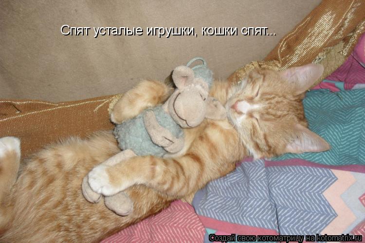 Котоматрица: Спят усталые игрушки, кошки спят...