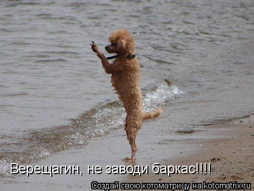 Котоматрица: Верещагин, не заводи баркас!!!!