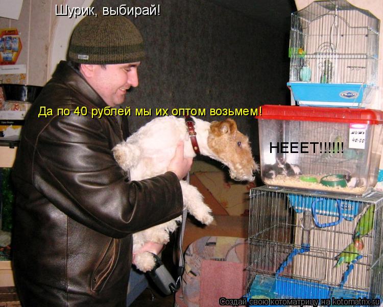 Котоматрица: Шурик, выбирай! Да по 40 рублей мы их оптом возьмем! НЕЕЕТ!!!!!!