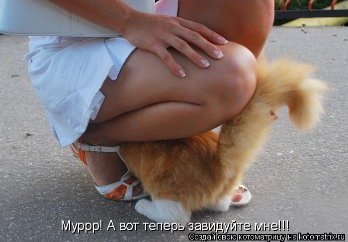 Котоматрица: Муррр! А вот теперь завидуйте мне!!!