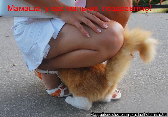 Котоматрица: Мамаша, у вас мальчик, поздравляю!