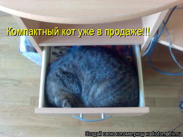 Котоматрица: Компактный кот уже в продаже!!!