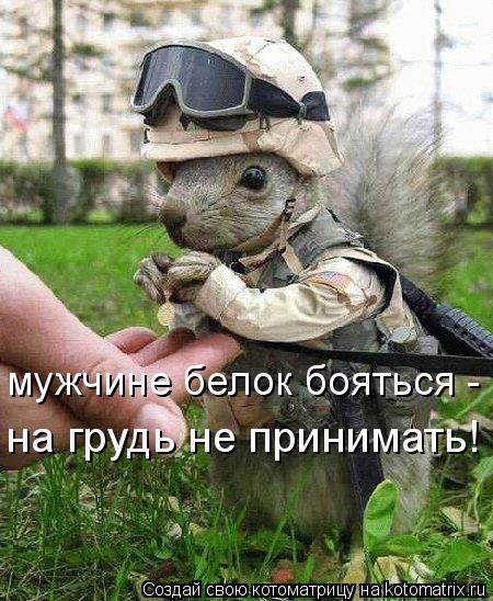 Котоматрица: мужчине белок бояться - на грудь не принимать! на грудь не принимать!