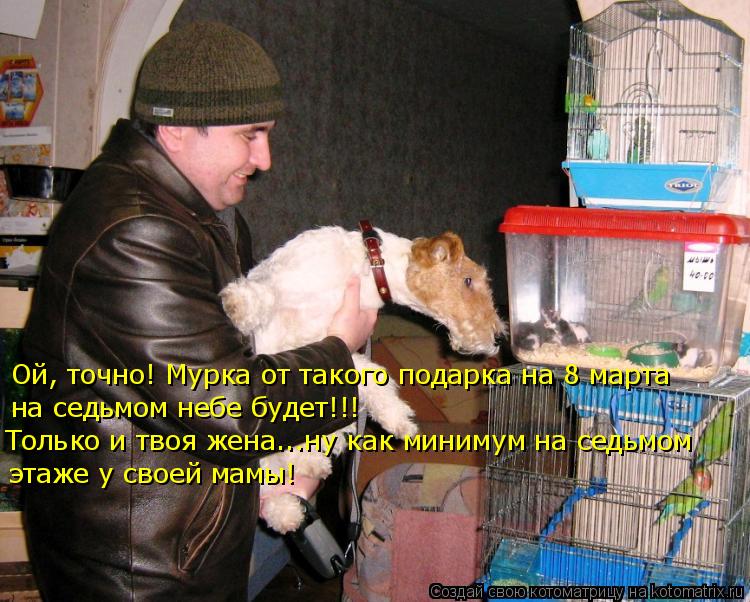 Ой, точно! Мурка от такого подарка на 8 марта на седьмом небе будет!!! Только и твоя жена...ну как ми... Котоматрица: Ой, точно! Мурка от такого подарка на 8 марта на седьмом небе будет!!! Только и твоя жена...ну как минимум на седьмом этаже у своей мамы!