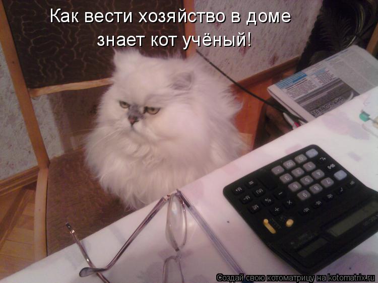Котоматрица: Как вести хозяйство в доме знает кот учёный!