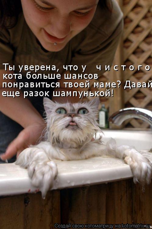 Котоматрица: Ты уверена, что у   ч и с т о г о кота больше шансов  понравиться твоей маме? Давай еще  еще разок шампунькой!