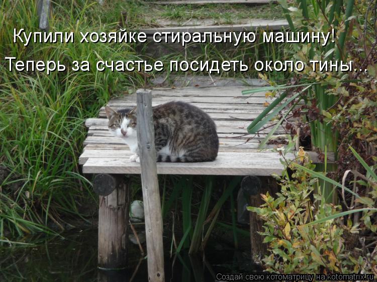 Котоматрица: Купили хозяйке стиральную машину! Теперь за счастье посидеть около тины...