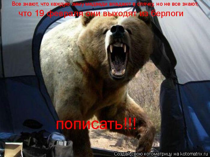 Котоматрица: Все знают, что каждую зиму медведи впадают в спячку, но не все знают, что 19 февраля они выходят из берлоги пописать!!!