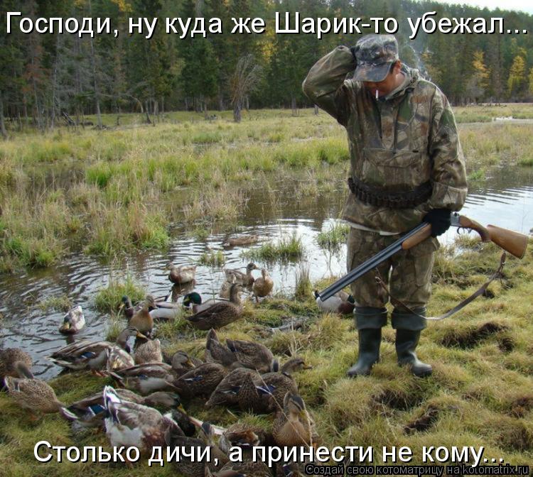 Котоматрица: Господи, ну куда же Шарик-то убежал... Столько дичи, а принести не кому...