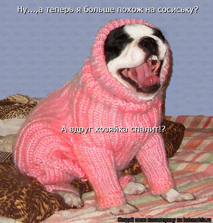 Котоматрица: Ну...,а теперь я больше похож на сосиську? А вдруг хозяйка спалит!?