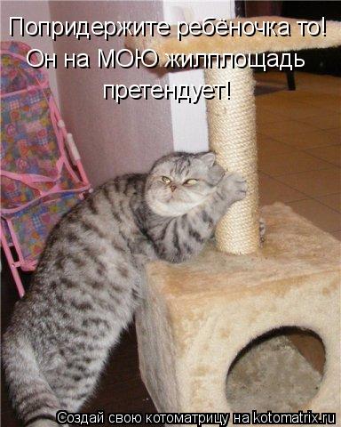 Котоматрица: Попридержите ребёночка то! Он на МОЮ жилплощадь претендует!