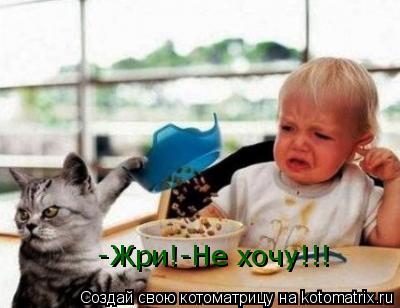 Котоматрица: -Жри!-Не хочу!!!