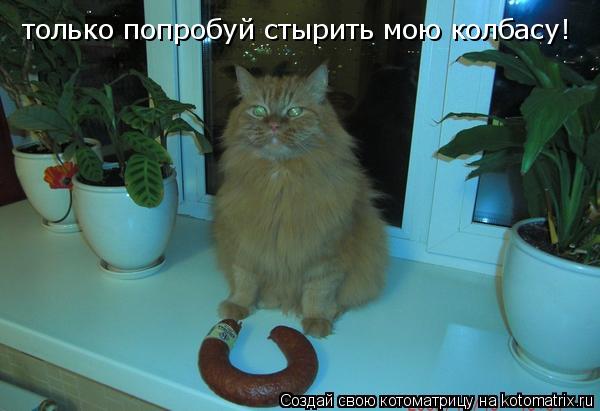 Котоматрица: только попробуй стырить мою колбасу!