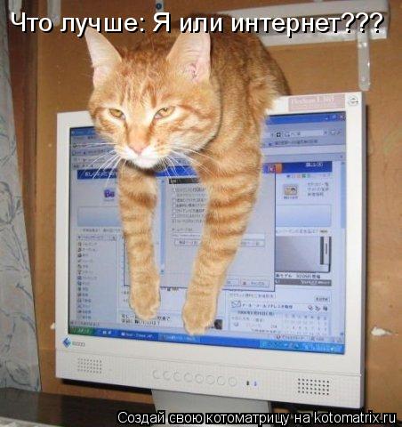 Котоматрица: Что лучше: Я или интернет???