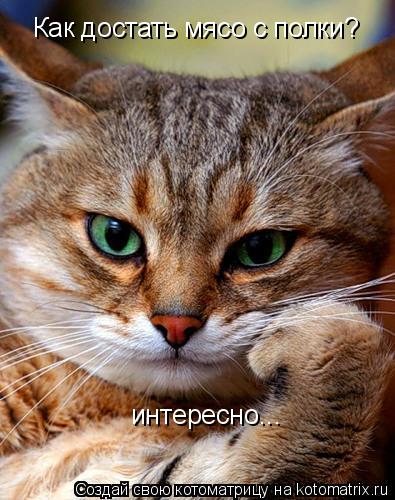 Котоматрица: Как достать мясо с полки? интересно...