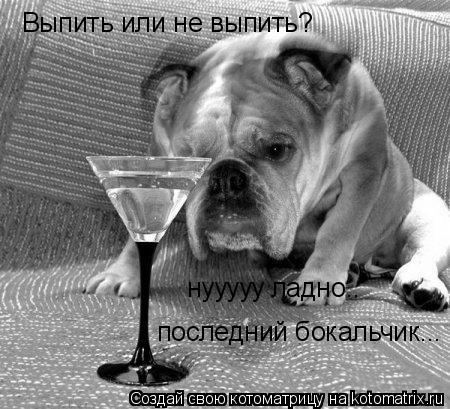 Котоматрица: Выпить или не выпить? нууууу ладно.. последний бокальчик...