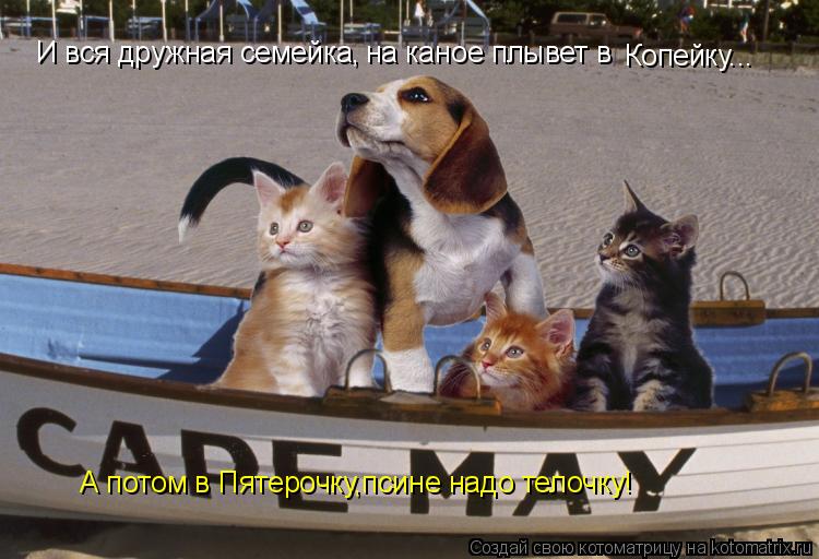 Котоматрица: И вся дружная семейка, на каное плывет в Копейку... А потом в Пятерочку,псине надо телочку!