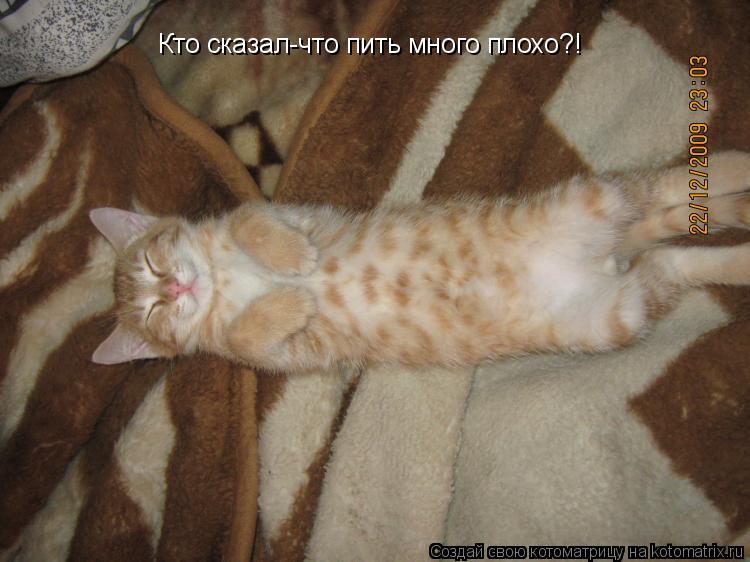 Котоматрица: Кто сказал-что пить много плохо?!