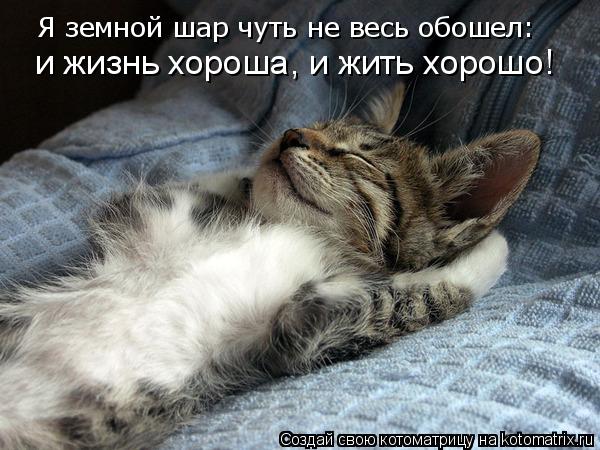 Котоматрица: Я земной шар чуть не весь обошел: и жизнь хороша, и жить хорошо!