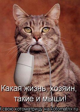 Котоматрица: Какая жизнь, хозяин, такие и мыши!
