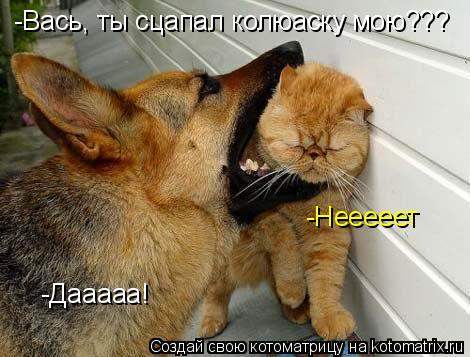 Котоматрица: -Вась, ты сцапал колюаску мою??? -Нееееет -Дааааа!