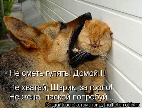 Котоматрица: - Не хватай, Шарик, за горло! - Не сметь гулять! Домой!!! Не жена, лаской попробуй...