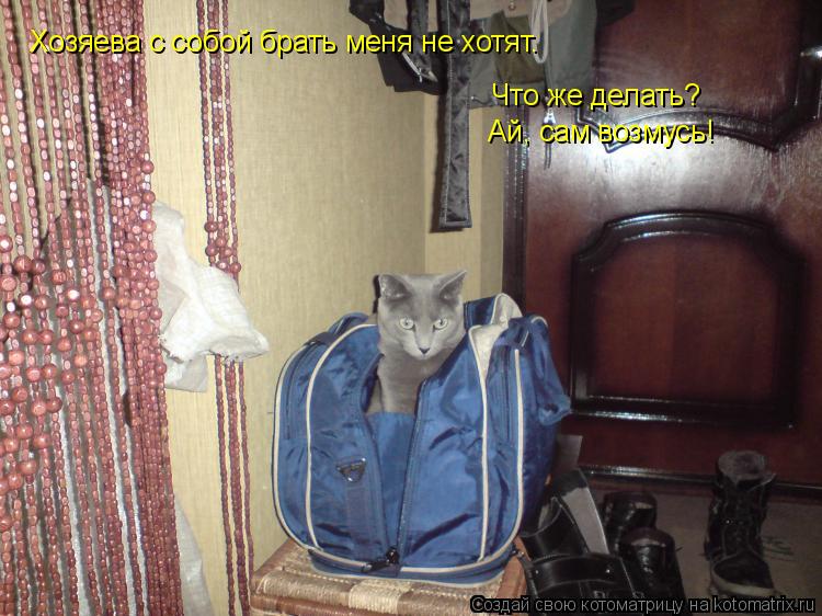 Котоматрица: Хозяева с собой брать меня не хотят. Что же делать? Ай, сам возмусь!