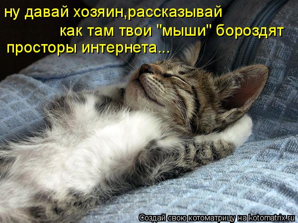 ну давай хозяин,рассказывай как там твои "мыши" бороздят просторы интернета...... Котоматрица: ну давай хозяин,рассказывай как там твои "мыши" бороздят просторы интернета...