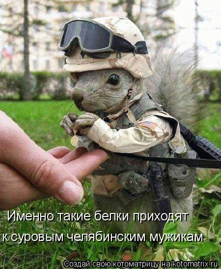 Именно такие белки приходят к суровым челябинским мужикам... Котоматрица: Именно такие белки приходят к суровым челябинским мужикам