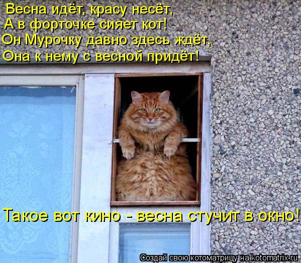Котоматрица: Весна идёт, красу несёт, А в форточке сияет кот! Он Мурочку давно здесь ждёт, Она к нему с весной придёт! Такое вот кино - весна стучит в окно!