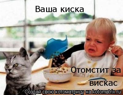 Ваша киска Отомстит за вискас... Котоматрица: Ваша киска Отомстит за вискас