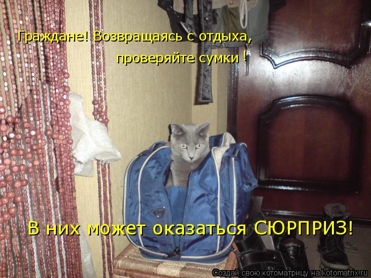 Котоматрица: Граждане! Возвращаясь с отдыха,  проверяйте сумки В них может оказаться СЮРПРИЗ! !